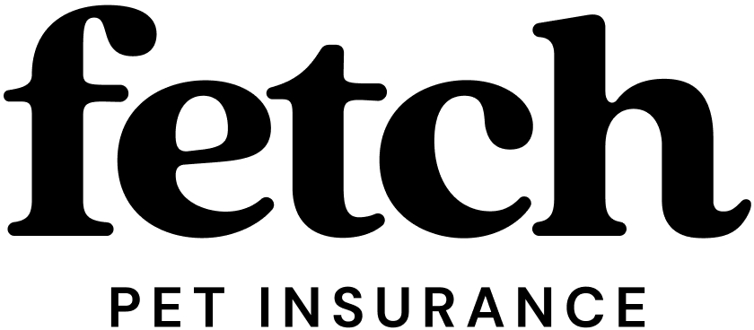 How to Reduce Pet Costs Without Compromising Care in the UK