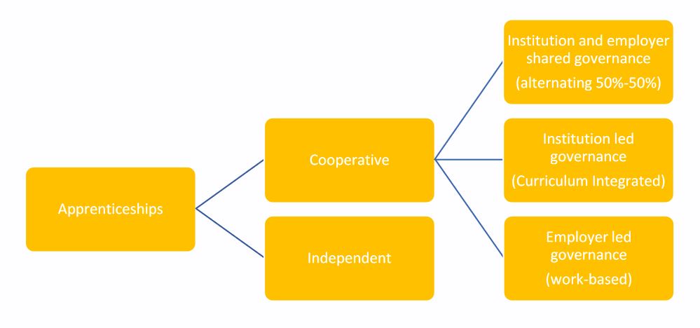 Apprenticeships Explained: A Guide for Employers and School-Leavers
