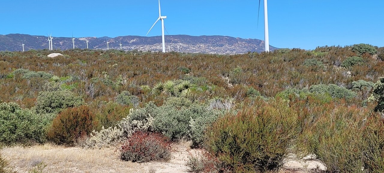 Renewable Energy Explained: Solar, Wind and More