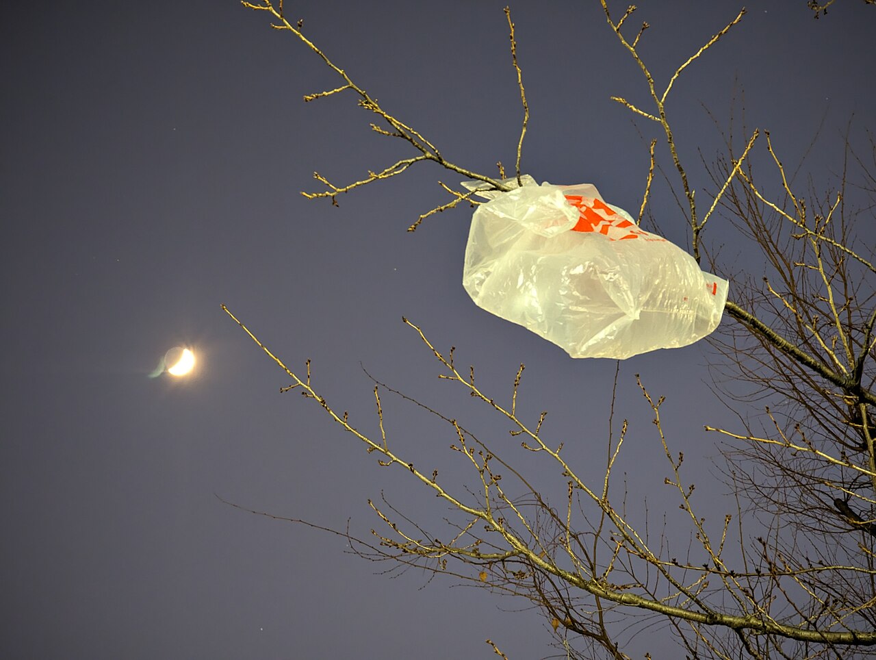 The Plastic Pollution Crisis: 400 Million Tonnes a Year and Rising