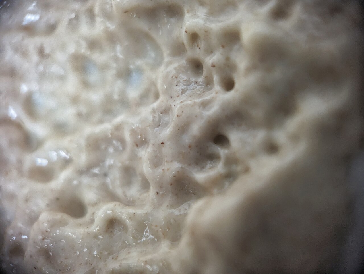 Sourdough Bread for Beginners: A UK Baker's Guide